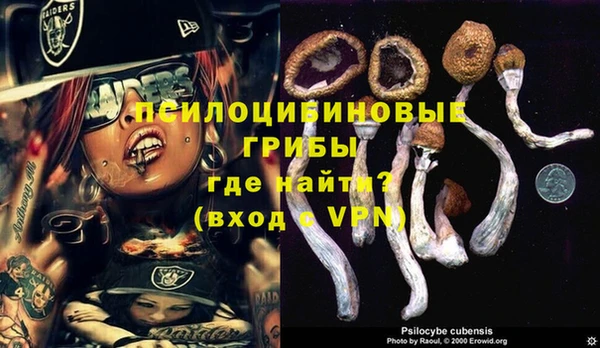 COCAINE Карпинск