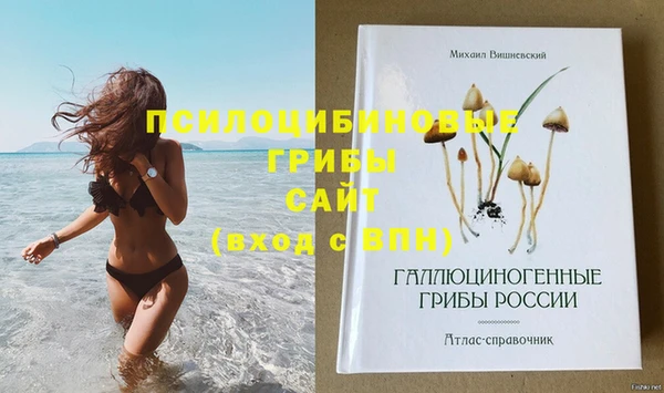 MDMA Premium VHQ Карталы